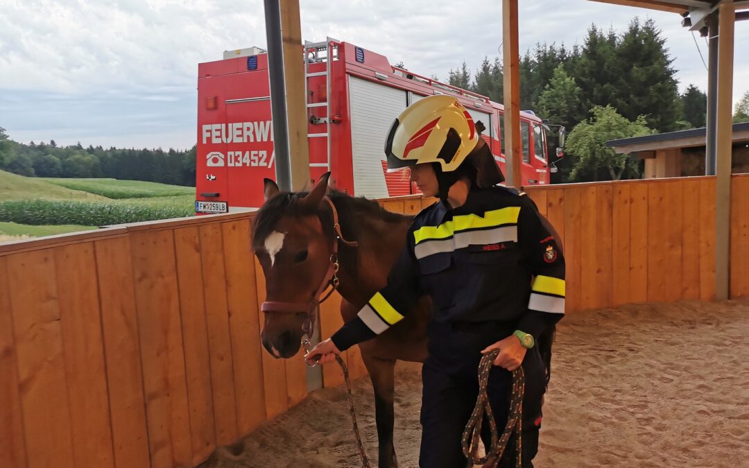 Tierrettung – Übung