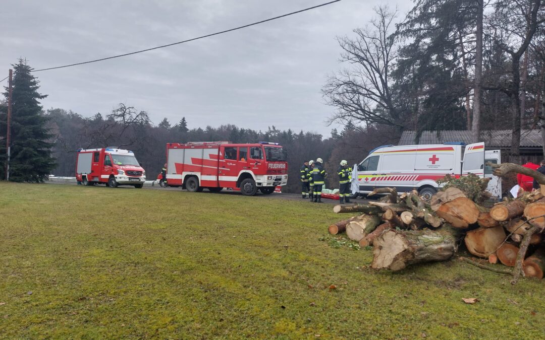 Technischer Einsatz, „Menschenrettung“