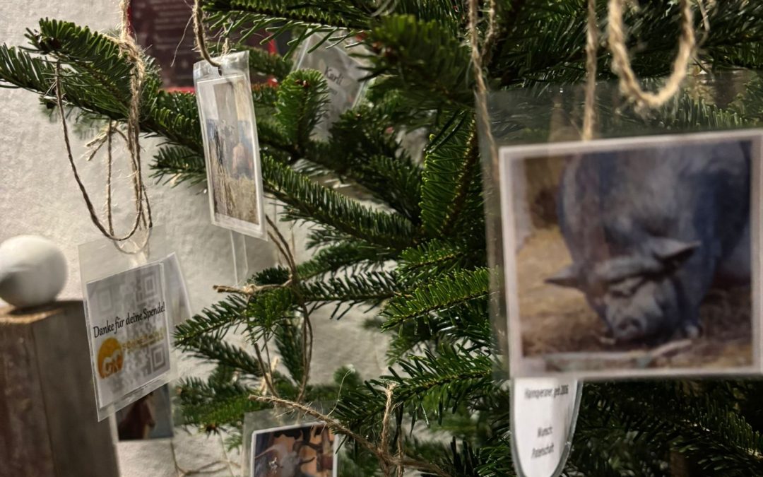 Weihnachtsaktion 2024